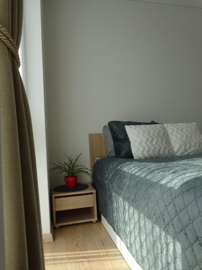 Elzbietos Centro Apartamentai VNO Extérieur photo